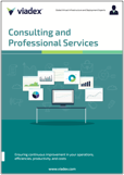 Consulting and Professional Services Brochure